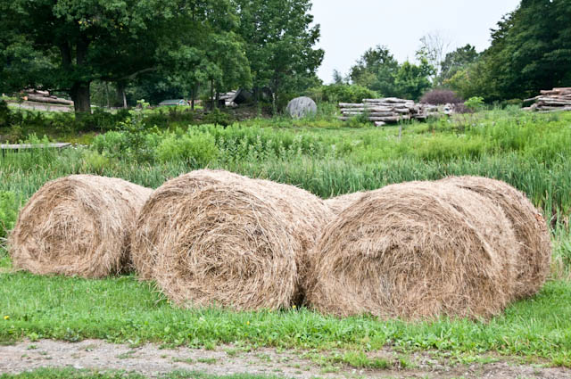 Hay Bales